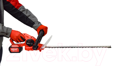 Кусторез аккумуляторный Brait BCHT20-4PU PRO