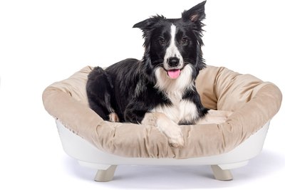 Лежанка для животных Ferplast Throne 8 / 70158011