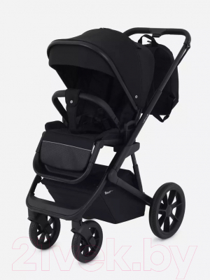 Детская универсальная коляска Rant Basic Nexus 2 в 1 / RA106