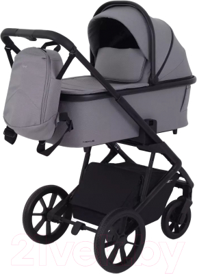 Детская универсальная коляска Rant Basic Nexus 2 в 1 / RA106 - фото