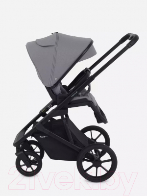 Детская универсальная коляска Rant Basic Nexus 2 в 1 / RA106