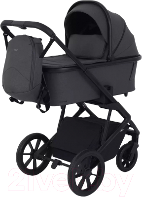 Детская универсальная коляска Rant Basic Nexus 2 в 1 / RA106 - фото