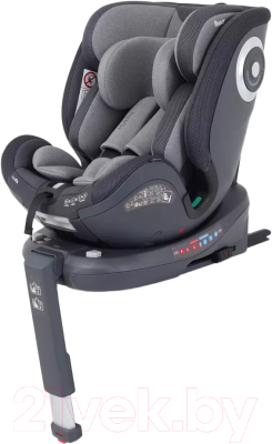 Автокресло Rant MultiFix / TP01 (серый) - фото