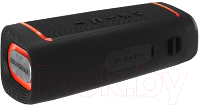 Портативная колонка SoundMax SM-PS5019B