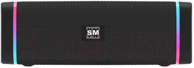 Портативная колонка SoundMax SM-PS5019B