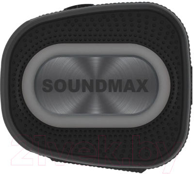 Портативная колонка SoundMax SM-PS5019B