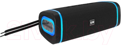Портативная колонка SoundMax SM-PS5019B