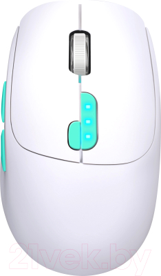 Мышь Defender Nitta MM-307 / 52307 - фото