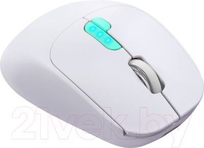 Мышь Defender Nitta MM-307 / 52307