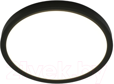 Потолочный светильник Estares Round 28W R-300x25-BLACK/WHITE-220-IP44 4000K - фото