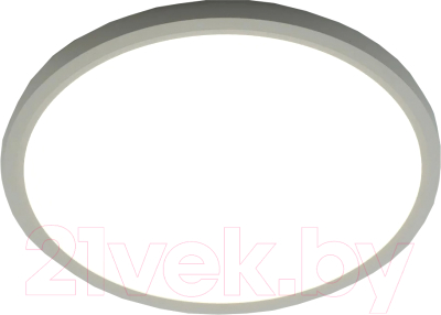 Потолочный светильник Estares Round 38W R-400x25-WHITE/WHITE-220-IP44 4000K - фото