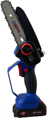 Пила цепная аккумуляторная ВИТЯЗЬ ПЦ-А-220-6 / 18032002-2 (с 2-мя АКБ и ЗУ) - фото