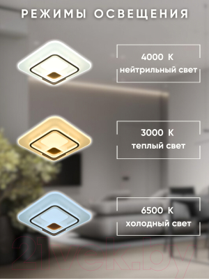 Потолочный светильник Aitin-Pro L24990/500