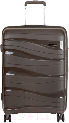 Чемодан на колесах National NLT101-L - фото