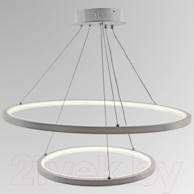 Потолочный светильник Aitin-Pro D18981/2 - фото