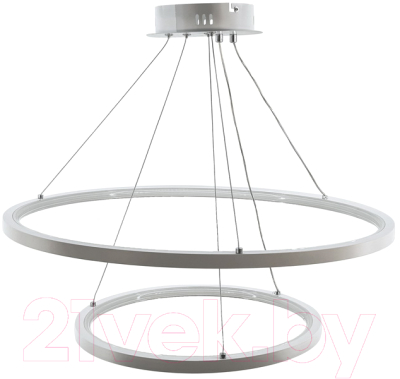 Потолочный светильник Aitin-Pro D18981/2