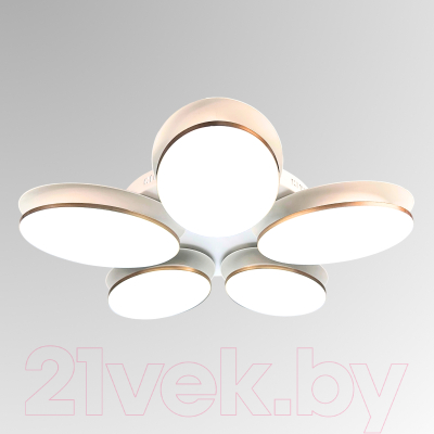 Люстра Aitin-Pro MD8025/5B - фото