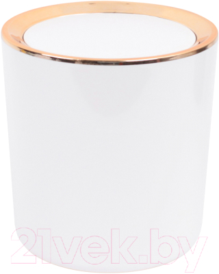 Контейнер для мусора Darvish DV-H-1843-3 - фото