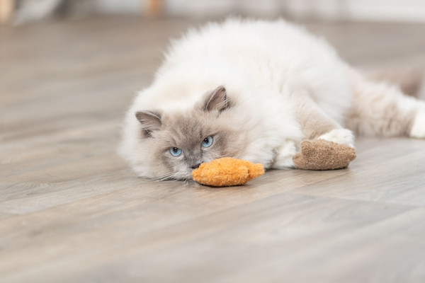 Игрушка для кошек Trixie Мишка / 45664