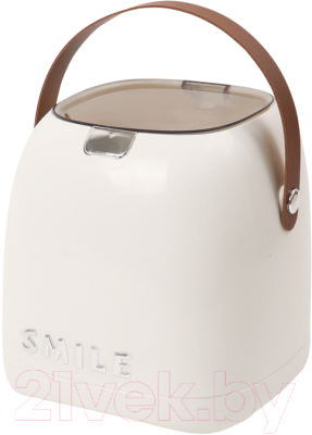 Контейнер для мусора Darvish DV-H-2032 - фото