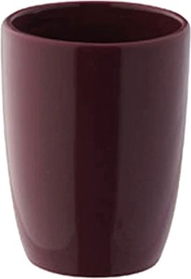 Стакан для зубной щетки и пасты Axentia Пиза 128618 - фото