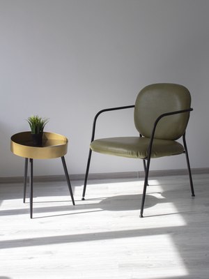 Кресло мягкое Sheffilton SHT-AMS121