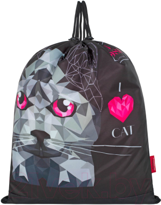 Школьный рюкзак Across 23-490-13