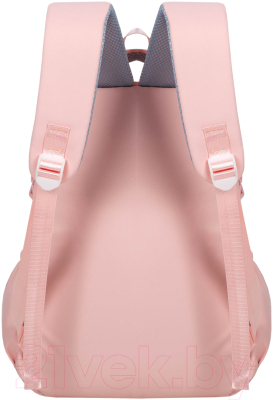 Школьный рюкзак Merlin M3910