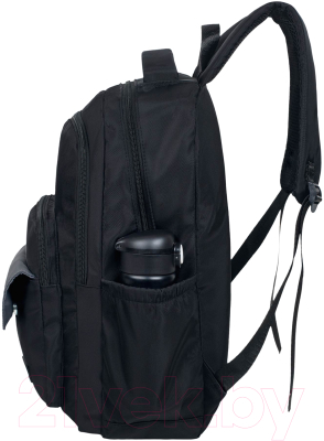 Школьный рюкзак Merlin M37121