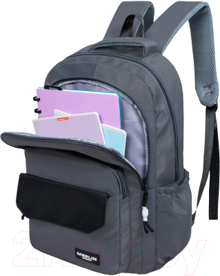 Школьный рюкзак Merlin M37121