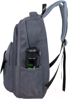 Школьный рюкзак Merlin M37121