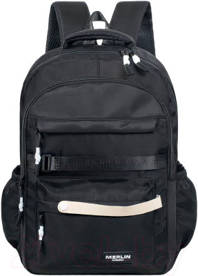Школьный рюкзак Merlin M37163 - фото