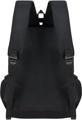 Школьный рюкзак Merlin M37163