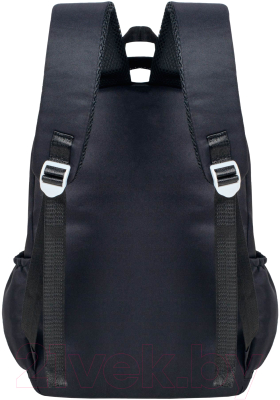 Школьный рюкзак Merlin M3331