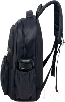 Школьный рюкзак Merlin M3331