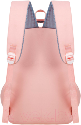 Школьный рюкзак Merlin M16141