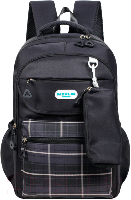 Школьный рюкзак Merlin M16141 - фото