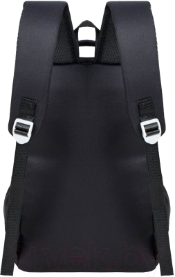 Школьный рюкзак Merlin M16141