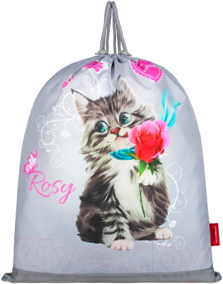 Школьный рюкзак Across 23-490-18