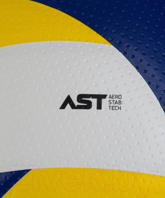 Мяч волейбольный Jogel JV-900 / BC24