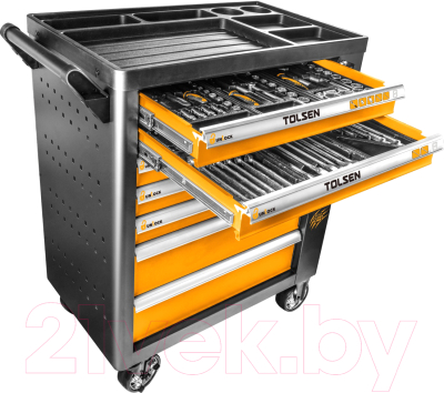 Универсальный набор инструментов Tolsen TT85412