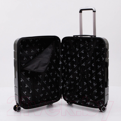 Чемодан на колесах Valigetti 338-2801/3-24DGR