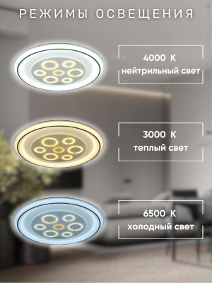 Потолочный светильник Aitin-Pro X9609