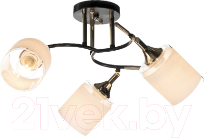 Спот Aitin-Pro НПБ 02-3x60-101 / N6089/3 - фото