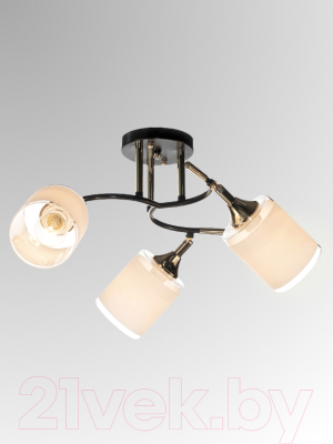 Спот Aitin-Pro НПБ 02-3x60-101 / N6089/3