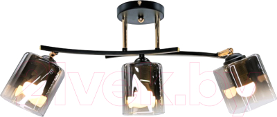 Спот Aitin-Pro НПБ 02-3х60-101 / XA1439/3 - фото