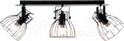 Спот Aitin-Pro НПБ 02-3х60-102 / P8544/3 - фото