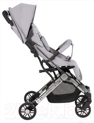 Детская прогулочная коляска Farfello Comfy Go Comfort / CG-305