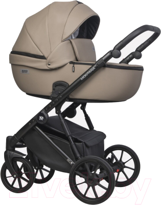 Детская универсальная коляска Riko Montana Ecco 2 в 1 - фото