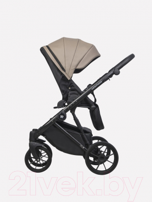 Детская универсальная коляска Riko Montana Ecco 2 в 1